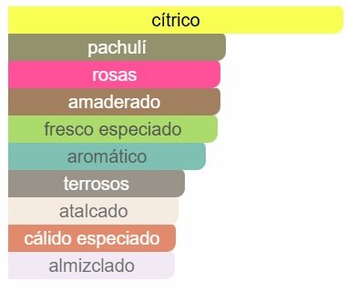 ARMAF CLUB DE NUIT WOMAN CARACTERISTICAS Armaf - Club de Nuit Woman